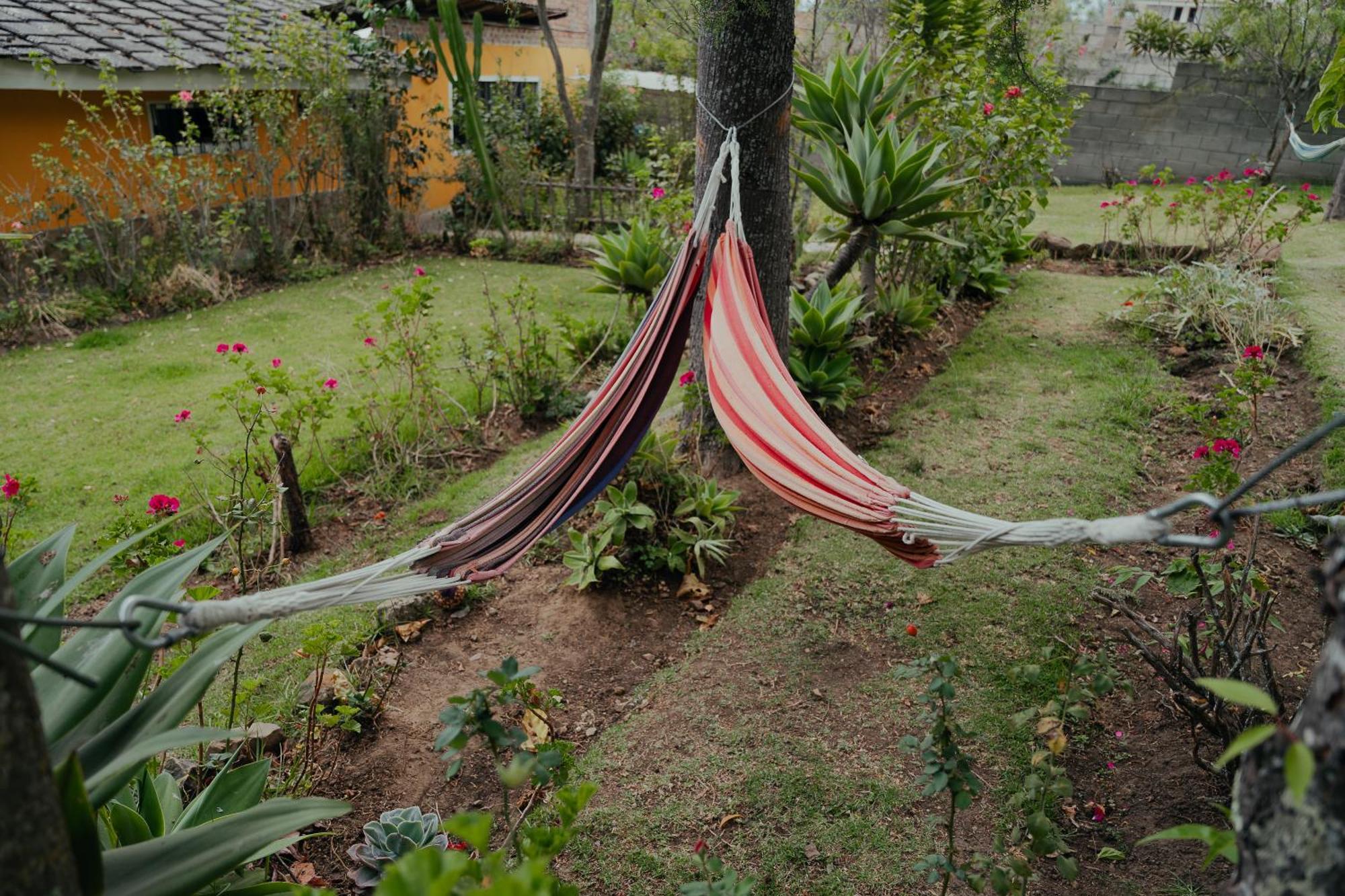 Ferienhaus Kinti Yuraq En Kinti Wasi *